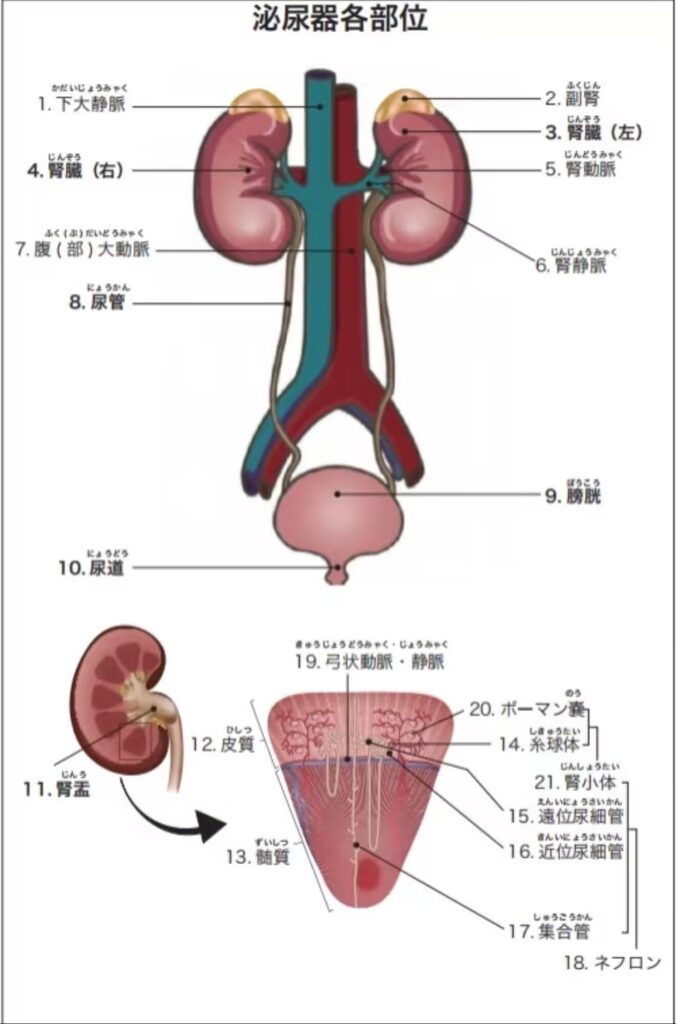 gnour2ugtanivpccyimr4manxdfk3pr72fha7tgz0tyzk1u1opaauxwgpniglnjmucagyzpzqg0c8sysleesuuznyu qx2yxi5jma1ngigrbhft6wgak8ppol4gms2tokcpunf5rjutpuxwfl42qjw==